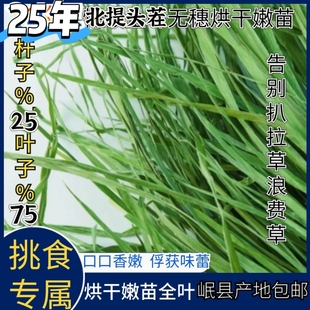 25年新品《特级新草现货》提摩西北提幼宠挑食兔子龙猫荷兰猪牧草