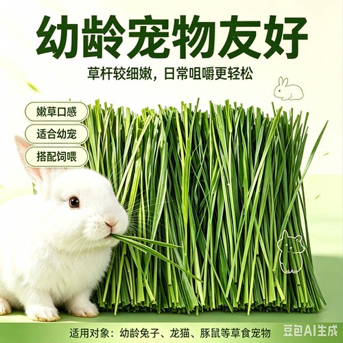 26年新品现货多叶烘干岷山牧草
