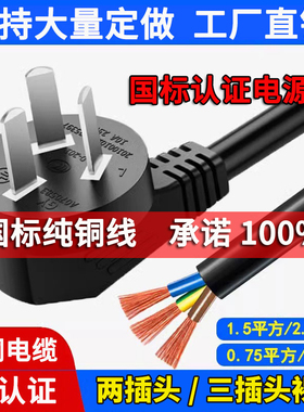 国标纯铜2/3芯电源线三脚插头0.75/1/1.5/2.5平方10A/16A插头带线