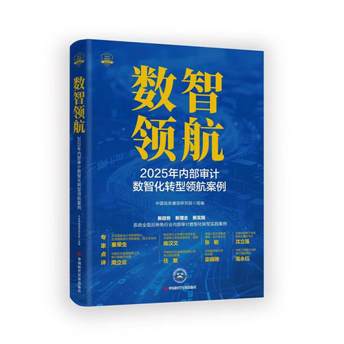数智领航：2025年内部审计数字化转型领航案例 中国时代经济出版社