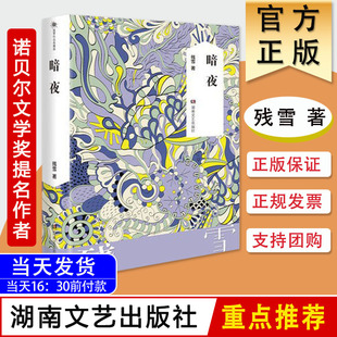 暗夜 残雪作品集 诺贝尔文学奖提名作者 中国现当代文学长篇小说 湖南文艺出版社