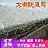 大棚防风网防护网种植养殖大棚专用大孔压膜网绳尼龙网封垛盖草网