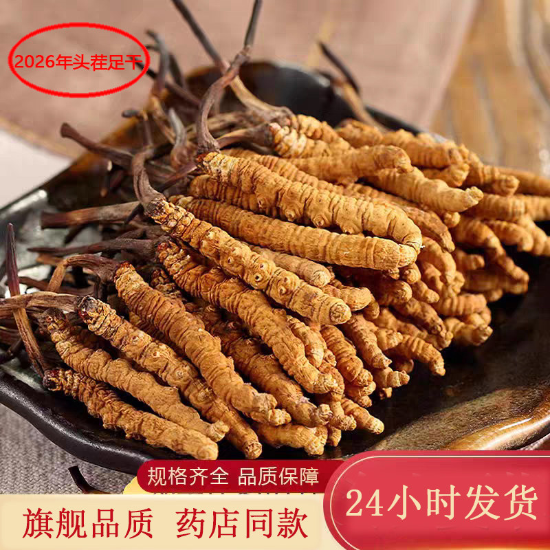 西藏那曲比如县精品冬虫夏草钻石级虫草旗舰品质店5/10/20/40根装