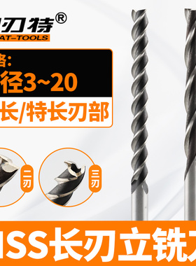 高速钢HSS直柄加长刃立铣刀3F特长两刃键槽铣刀3-20mm长度100 200