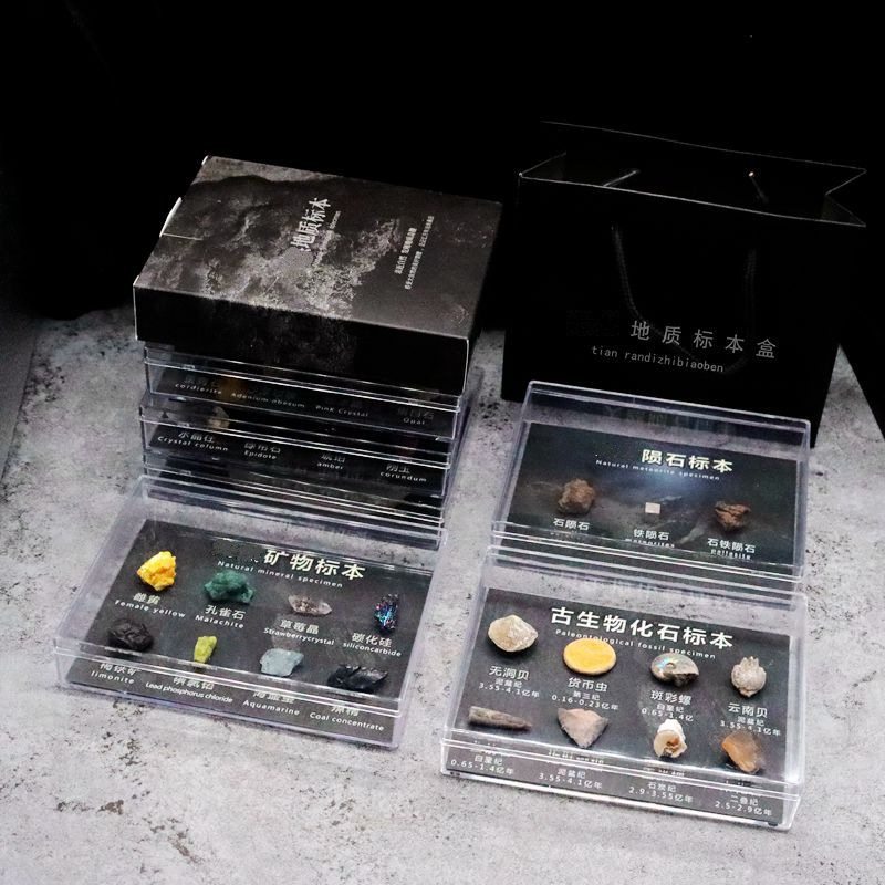 化石矿石陨石牙齿植物狼鳍鱼昆虫古生物化石科普教学标本收藏摆件,文具电教/文化用品/商务用品,教学标本/模型,淘宝优惠券,粉丝福利购,淘宝优惠卷