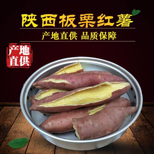 陕西临潼板栗红薯地瓜
