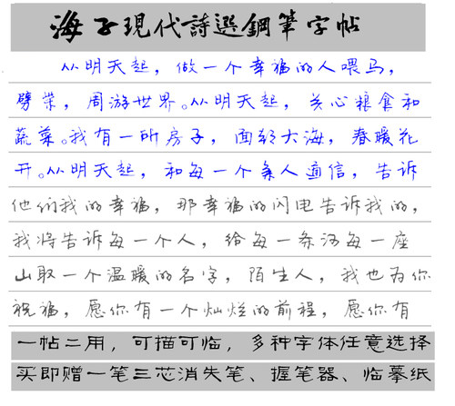 李洪川成人学生行书海子诗易学练