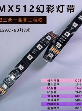 DMX512 RGB可编程软灯带TM512AC 5050 60灯24V 12MM 工程款铜支架