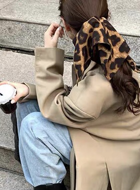 本期超爱～豹纹系飘带气质高级发圈女扎头发饰洋气发饰品
