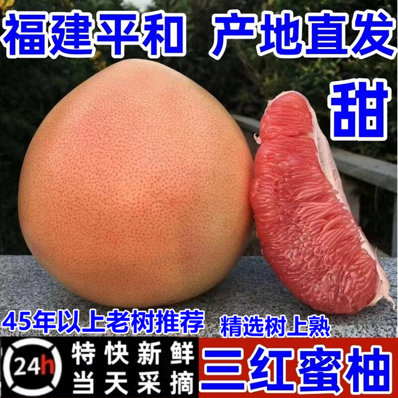 【推荐】三红蜜柚【45年老树柚】