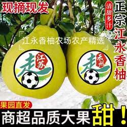 【湘超永州队推荐】湘超冠军城湖南永州江永香柚30斤沙田柚大果