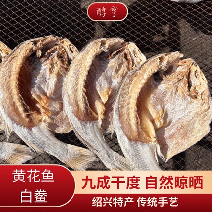 醇亨浙江绍兴深海黄花鱼 鲞冻肉 咸白鲞扣鸡烧肉咸鲞咸鱼干货