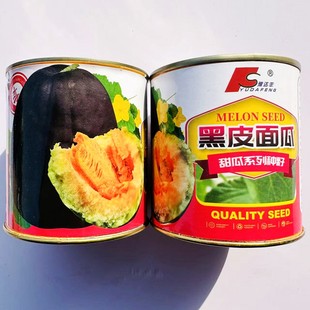 黑皮面瓜种子黄皮面瓜甜瓜种子水果种籽老品种农家高产甜面四季播
