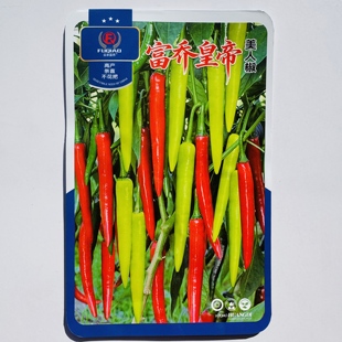 美人椒种子大果型辣椒种子辣味浓高产抗病商品佳耐热耐寒春秋播种