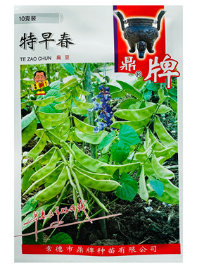 早熟高产扁豆种子采收期长架豆