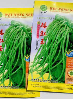 无架豆种子长豆角种籽