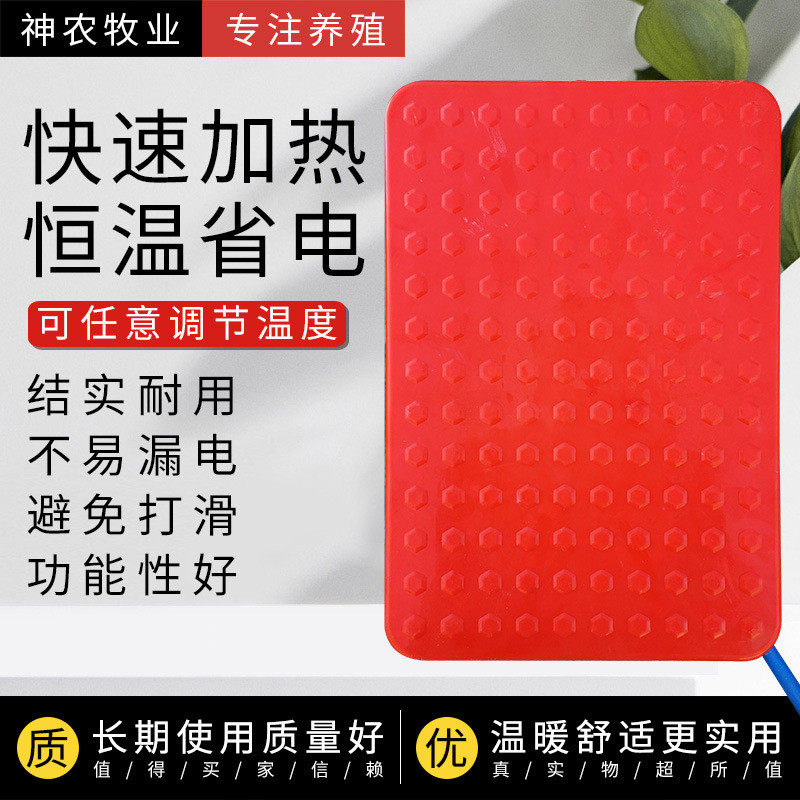 宠物电热保温板兔子狗猫蛇小型动物专用冬季室内保暖安全恒温,宠物/宠物食品及用品,小宠医疗用品,淘宝优惠券,粉丝福利购,淘宝优惠卷