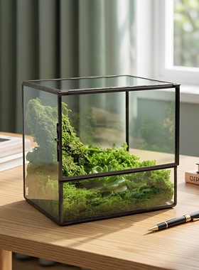 立体方形上翻盖生态雨林缸苔藓微景观造景盒桌面摆件绿植种植容器