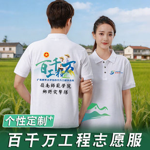 三下乡队服志愿者POLO衫定制翻领工作服文化衫百千万工程服装印字