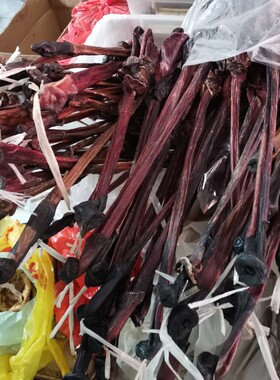 马鞭大条干货整条滋补养生泡酒材料新货包邮