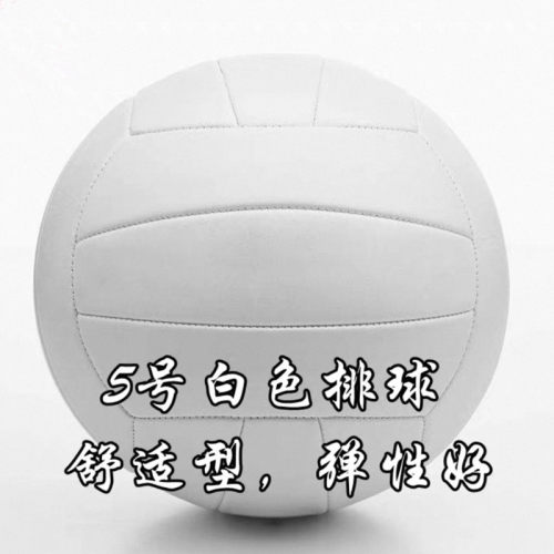 中考专用绘图画画专用白色排球