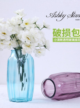 欧式风透明水培富贵竹玻璃花瓶