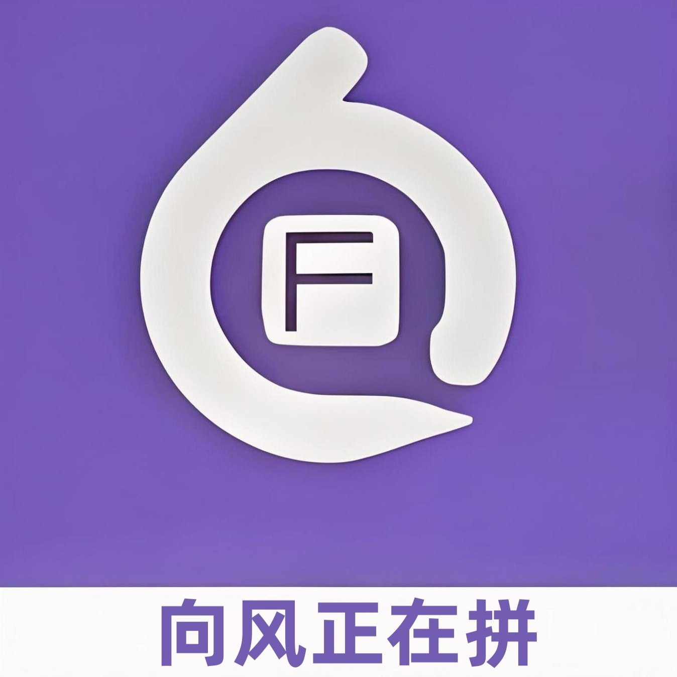 向风正在拼向风拼多多数据包采集解析软件向风拼多多数据包采集