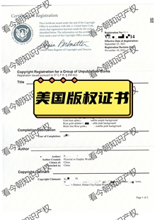 美国美术作品版权注册/美国美术作品版权登记/国际美术作品版权登