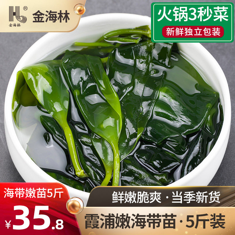 金海林海带苗嫩商用霞浦新鲜盐渍小海带芽嫩苗非干货火锅食材_虎窝淘