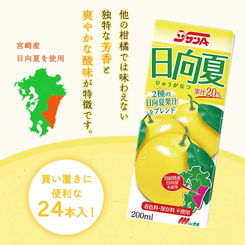 日本进口宫崎县农协JA Miyazaki饮料日向夏橘子汁清爽解腻饮品