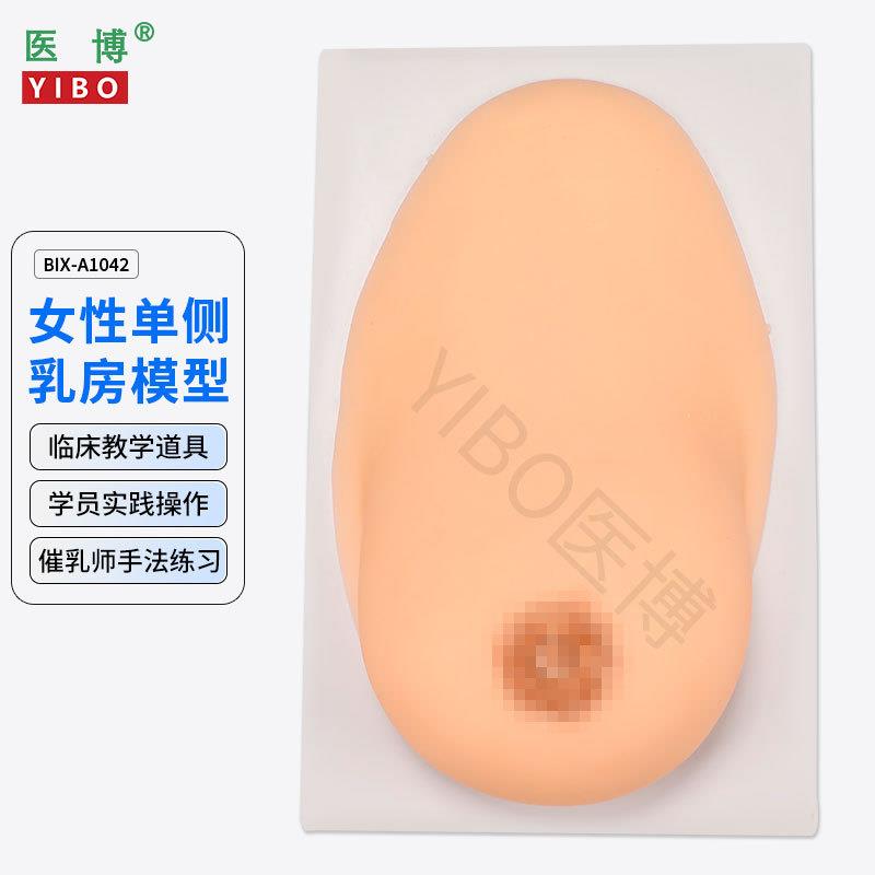 医博BIX-1042成人女性单侧硅胶乳房模型 仿真触感 催乳手法训练教
