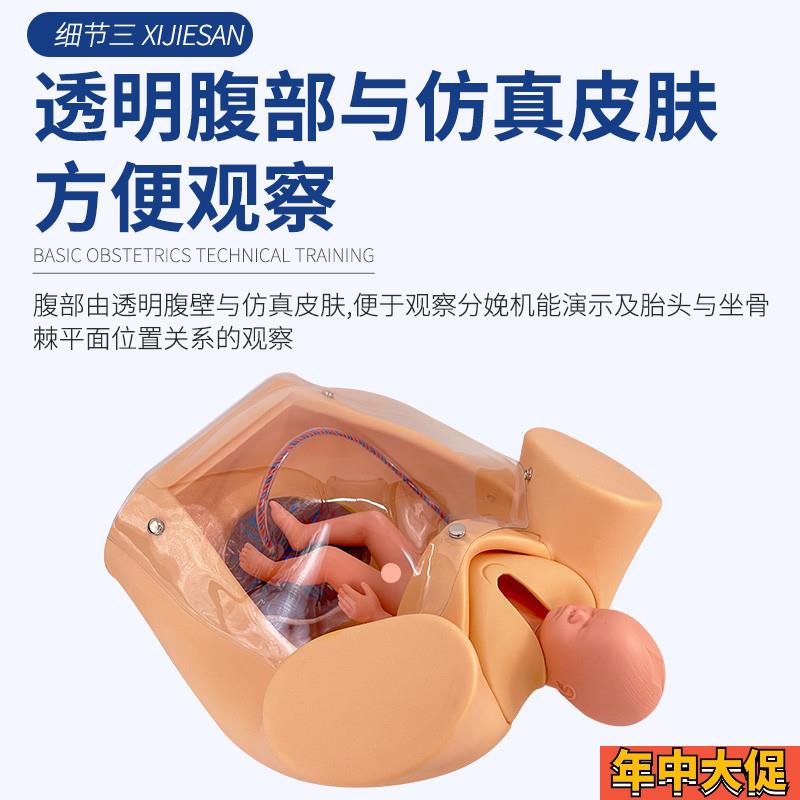 高级分娩综合技能训练模型 分娩助产示教模型 分娩机制示教模型