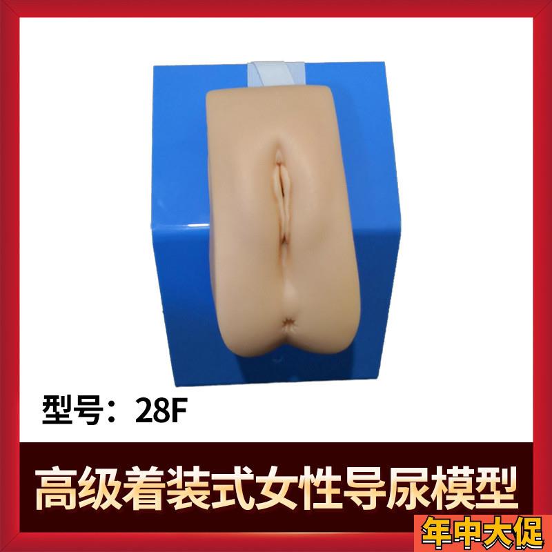 男女性别可互换整体导尿模型 着装式内外生殖器模具 护士导尿练习