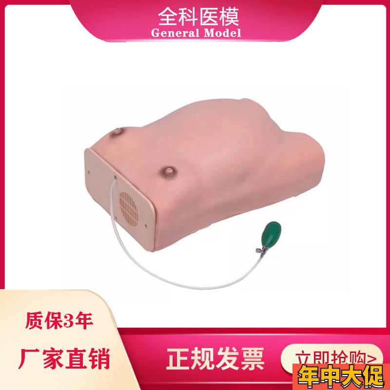 W1高级孕妇检查模型孕妇腹部触诊培训练习妇科宫内孕妇检查模型