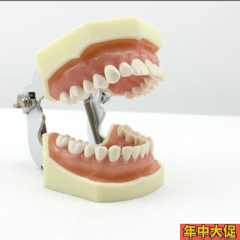 颐诺正品口腔修复模型齿科备牙体窝洞制备排龈仿真离体牙执业考