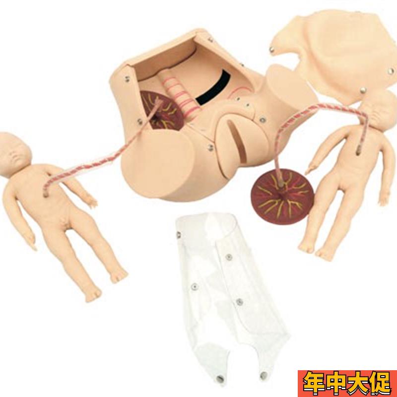 高级分娩综合技能训练模型JY/F20佳悦科教通