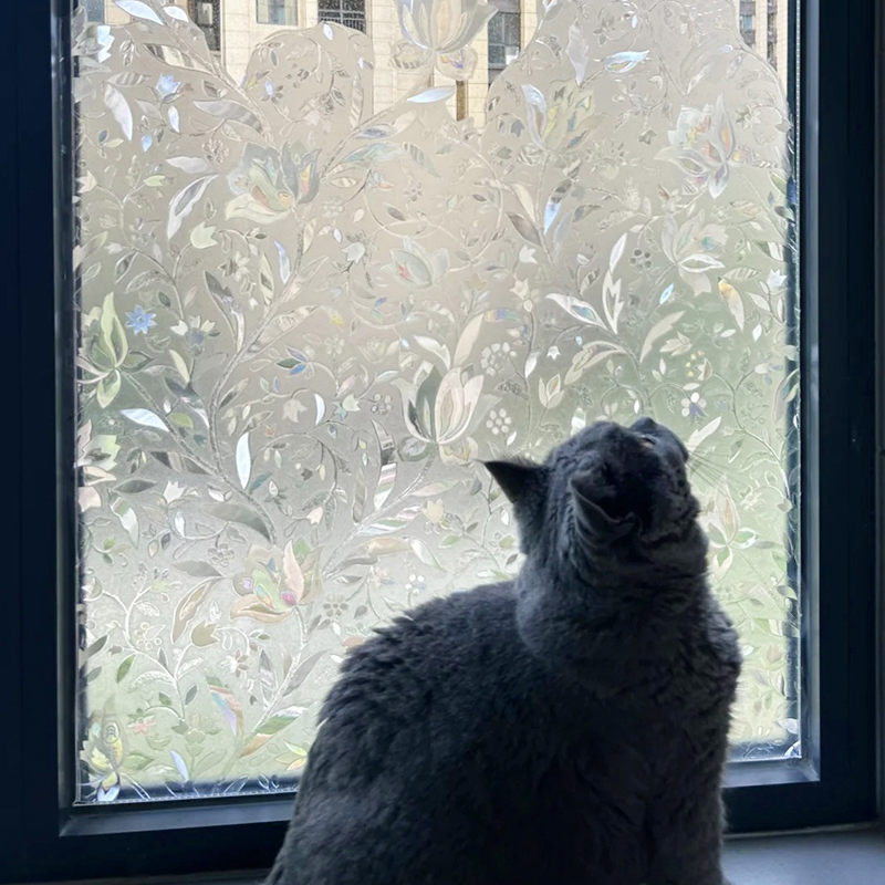 15年老品牌-高品质郁金香贴膜