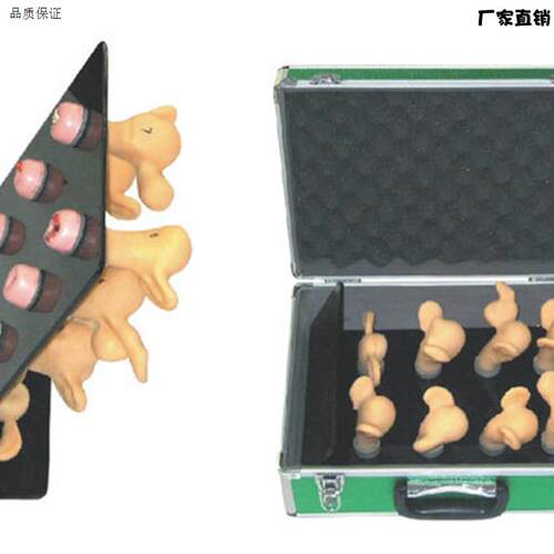 培训模型妇科高级子宫宫颈病变模型(8f件)子宫模型