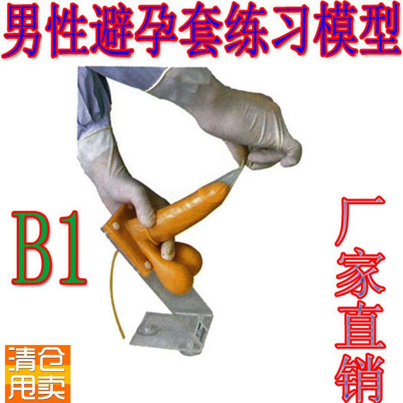 男性避孕练习模型避p孕模型性教育模型男性模型健康检查模型