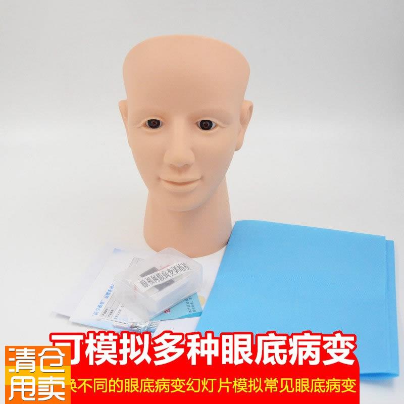 眼视网膜病变检查模型眼底检B查病变诊断技巧教具视网膜模型