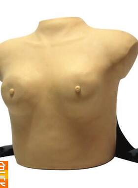 高级着装式乳房自检模型乳房检查模型女性乳Y腺自检模型
