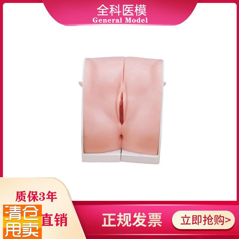 避孕指导模型女j性宫内节育器上环取环训练模型妇科教学用模型