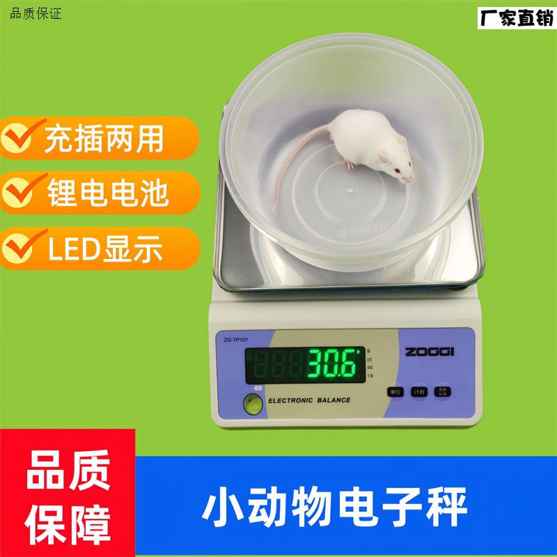 实验小鼠体重计电子秤大鼠电子天平秤小Z动物体重计高精度称量小