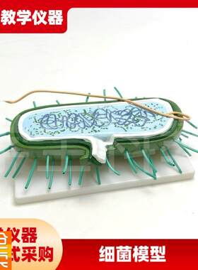 细菌模型高倍放大细胞病毒细菌标本染色体鞭毛生T物教学展示模型