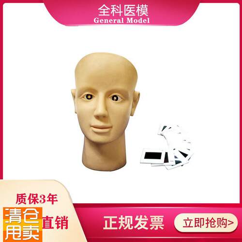 眼视网膜病变训练模型眼球检查练习养老护理P高血压糖尿病人眼睛