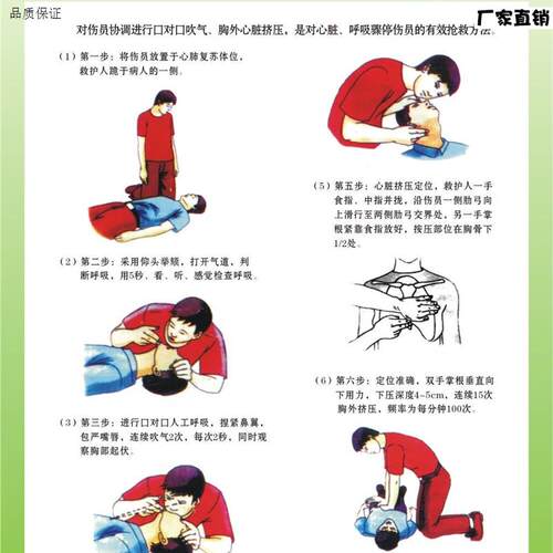 挂图