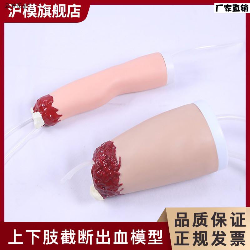 沪模上下肢外伤断肢止血模型控制v出血手臂大腿四肢创伤模型HM/D4
