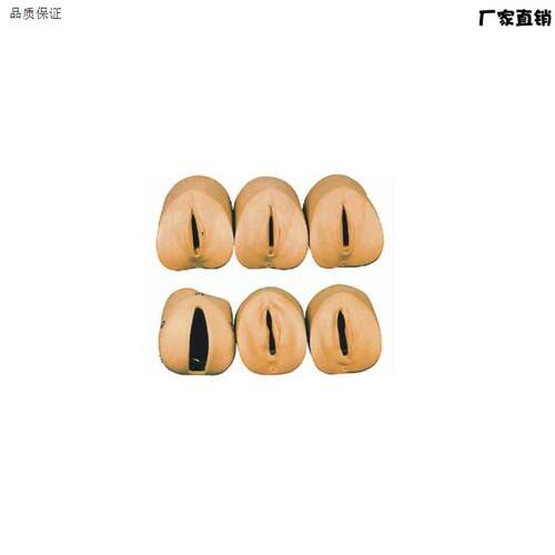 教学模型女性分娩生产宫d口模型产前宫颈变化与产道关系模型