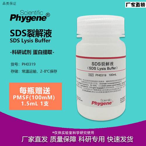 SDS裂解液100mL蛋白提取s细胞裂解科研实验PH0319PHYGENE