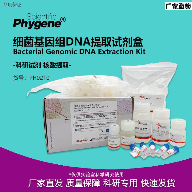细菌基因组kDNA提取试剂盒50T/100T科研实验PH0210PHYGENE